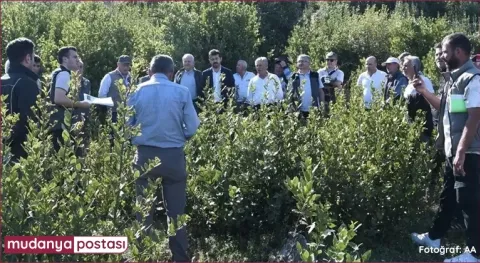 Haber Resmi